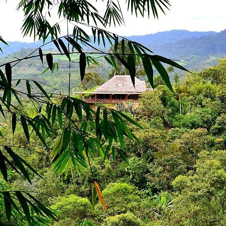 Terrabambu Lodge Mindo Zewnętrze zdjęcie